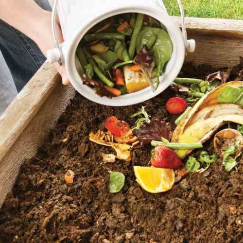 Soil Science: How to Test Your Soil pH